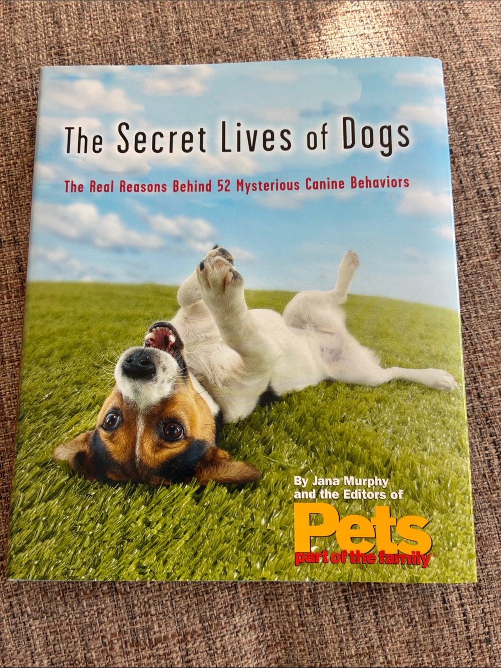 The Secret Lives of Dogs - Blue Sky & Green Grass Cover